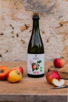 Cidre demi-sec Bio 75 cl